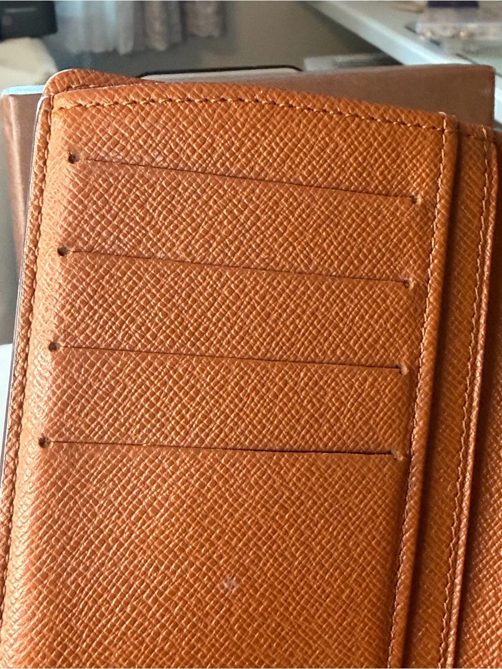 Louis Vuitton iconic lv